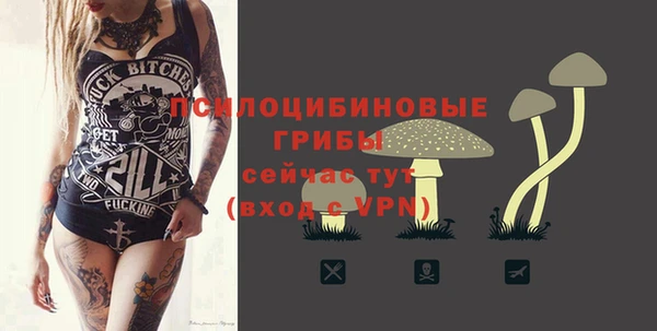 трава Белокуриха