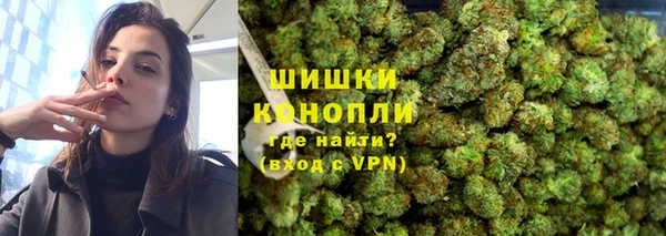 трава Белокуриха