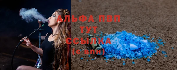 трава Белокуриха