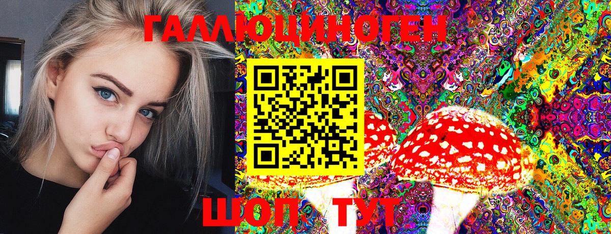 наркота  Псилоцибиновые грибы Psilocybe  Вход с VPN  Калуга 